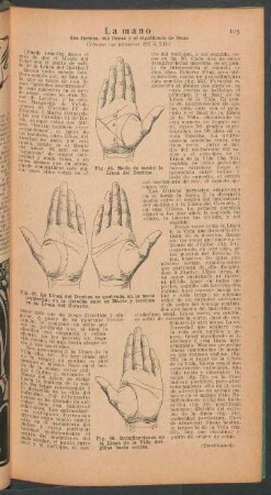 La mano - sus formas, sus líneas y el significado de éstas - [Continuación]