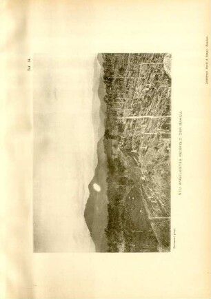 Taf. 34. Neu angelegtes Reisfeld der Bahau