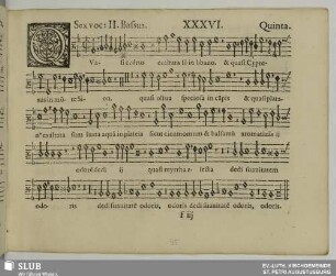 XXXVI. Quasi cedrus exaltata sum