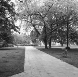Cottbus-Mitte. Schillerplatz (Anlage 1962). Park- und Wegeanlage von Südost