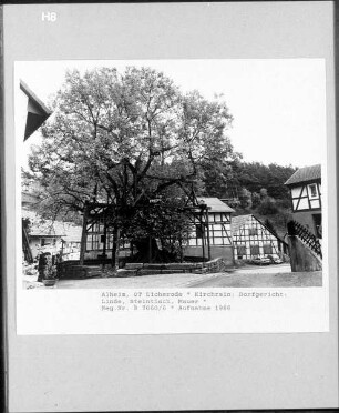 Dorfplatz mit Linde, Steintisch und Einfriedung