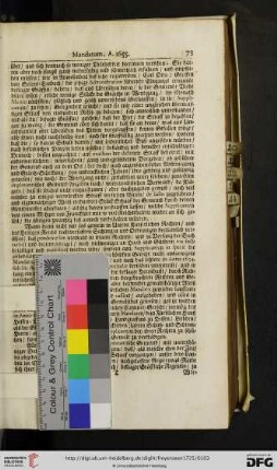 Farbkeil/Maßstab