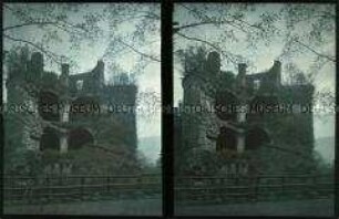 Turmruine im Schlosspark Heidelberg