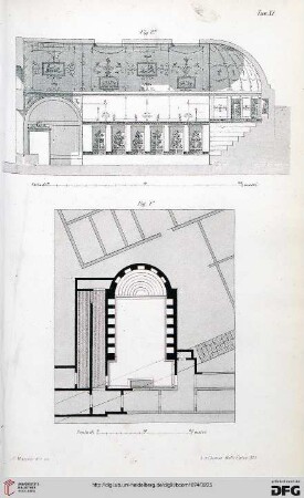 Tavola XI - XIX