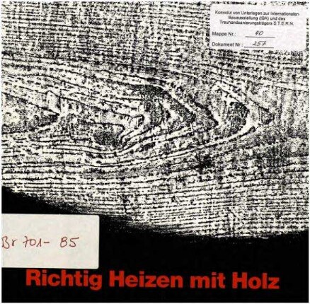 Informations-Broschüre: Richtig heizen mit               Holz