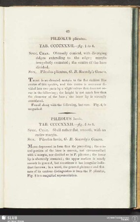 Pileolus laevis. Tab. CCCCXXXII. - fig. 5 to 8