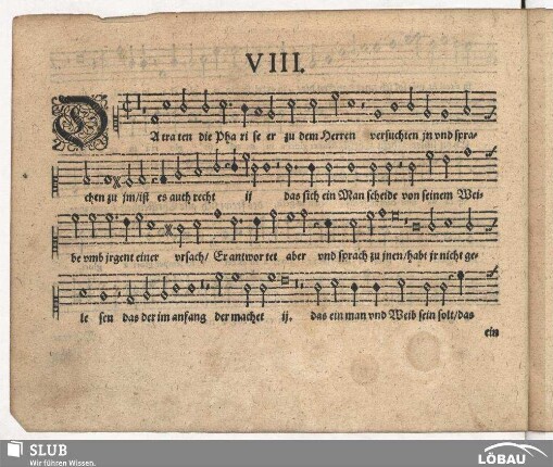 VIII. Da traten die Pharisäer