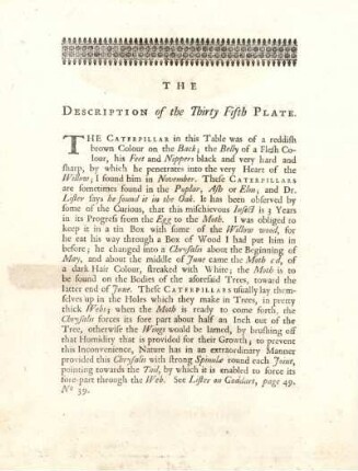 The Description of the Thirty Fifth Plate