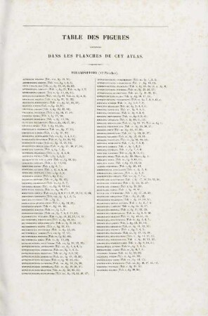 Table des Figures