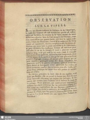 Observation Sur La Vipere