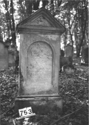 Grabstein 753 (Index: 99900389) Material: Sandstein Zustand: fast völlig verwittert Maße HxBxT: 135x59x28 cm Beschreibung: aufgesockelte Stele mit Dreiecksabschluss: Grabstein 753