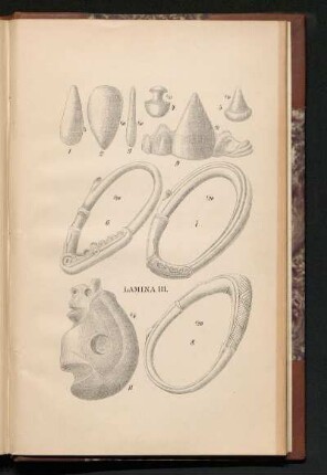 Lámina III.