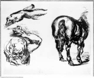 Handstudie. Kopf und linker Arm eines bärtigen Mannes. Pferd in Rückansicht