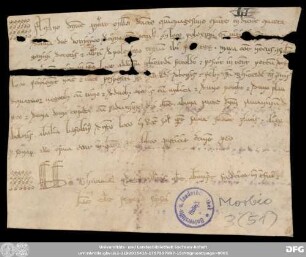 [Halle (Saale), Universitäts- und Landesbibliothek Sachsen-Anhalt, Morbio 3 (51)]