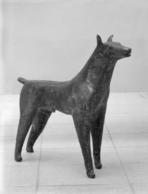Der Hund