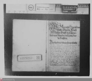 Zunftordnung der Schuhmacher zu Hadamar für Hadamar und das hadamarische Land