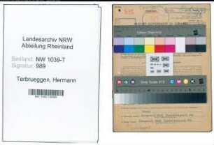 Entnazifizierung Hermann Terbrueggen , geb. 16.08.1911 (Schneidermeister)