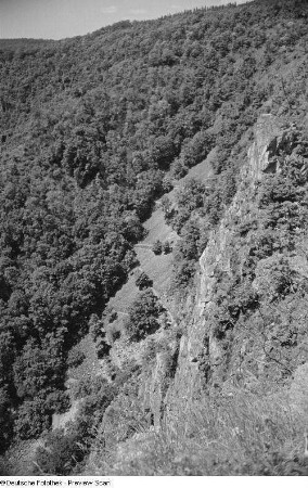 Blick ins Bodetal