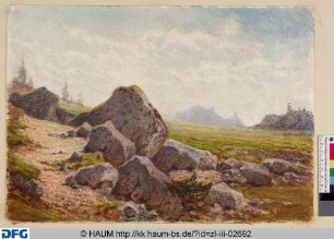 Felsen auf der Plätzwiese