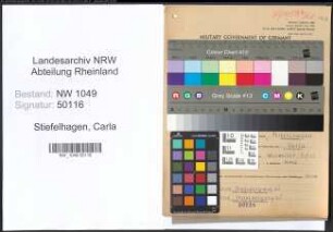 Entnazifizierung Carla Stiefelhagen , geb. 14.12.1908 (Lehrerin)