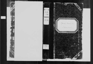 Gauangelloch, Ortsteil Ochsenbach, evangelische Gemeinde: Geburtenbuch 1804-1869