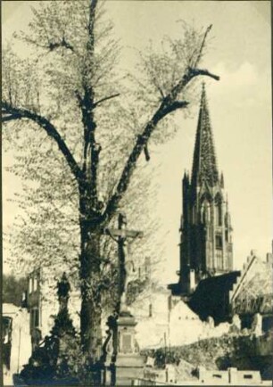 Münster Freiburg