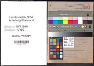 Entnazifizierung Wilhelm Blume , geb. 28.06.1889 (Direktor)
