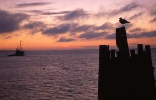 Abendrot Insel Rügen : Abends auf der Insel Rügen. Aufgenommen 2001