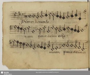 [Anonymus:] Praeter rerum seriem