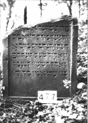 Grabstein 477 (Index: 100113610) Material: Sandstein Maße HxBxT: 80x69x9 cm Besonderheit: kulturhistorisch besonders wertvoll / hist.-wiss. Gründe (Alter): Grabstein 477