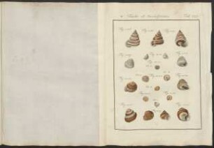 Tab. 122.