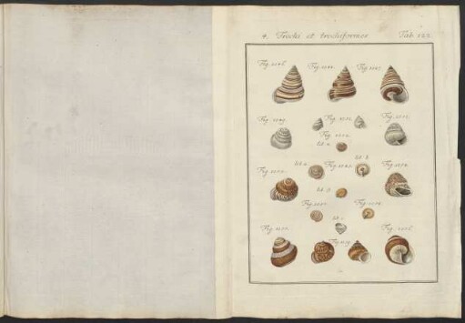 Tab. 122.