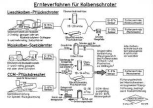 Ernteverfahren für Kolbenschroter
