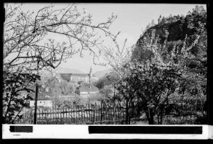 Blick auf Schloss Tetschen an der Elbe mit Schäferwand