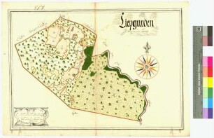 Liepgarten (Liepgarden) Amt/Distrikt Ueckermünde