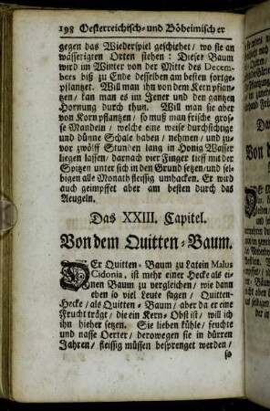 Das XXIII. Capitel. Von dem Quitten-Baum