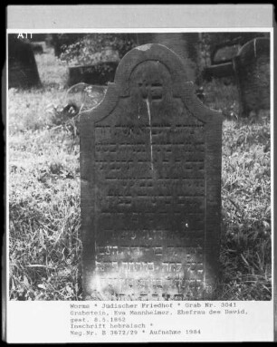 Grabstein von Eva Mannheimer, Ehefrau des David (gestorben 1862.05.08)