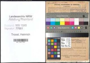 Entnazifizierung Heinrich Troost , geb. 01.11.1888 (Architekt)