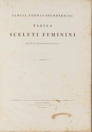 Tabula Sceleti Feminini