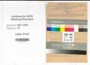 Entnazifizierung Ernst Zur Erbprinz Lippe , geb. 12.06.1902 (Landwirt)