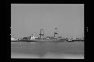TFL Adams (1981), Artimon Shipping, Elsfleth