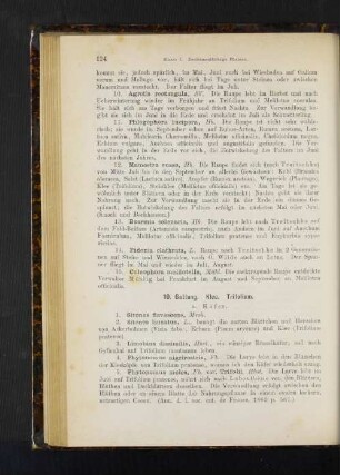 10. Gattung. Klee. Trifolium.