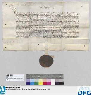Das Landgericht des Burggraftums Nürnberg stellt ein Vidimus aus von dem königlichen Brief d.d. 10. März 1442 betreffend Alschen von Sternberg. - Siegler: das Landgericht.