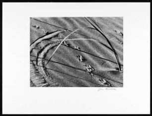 Sønderho. Spuren am Strand