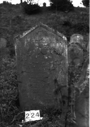 Grabstein 224