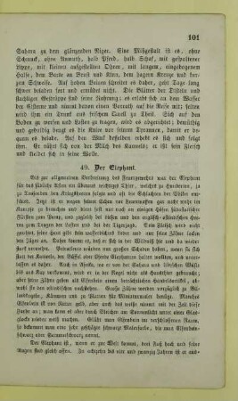 49. Der Elephant