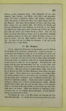 49. Der Elephant