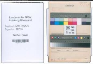 Entnazifizierung Franz Triebel , geb. 09.11.1907 (Angestellter)