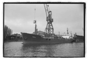 Greta (1970), Hans Rinck, Hamburg