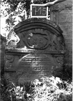 Grabstein 715 (Index: 100104818) Material: Sandstein Zustand: stark verwittert Maße HxBxT: 105x93x9 cm Beschreibung: Stele, Rundbogenabschluss mit Verdachung, im Bogenfeld Voluten und Blattornamente, darunter horizontaler Steg, erhabenes Schriftfeld, seitlich von stilisierten Voluten und Schuppenfries begrenzt, Buchstaben im Schrift- und Bogenfeld erhaben gearbeitet Symbolik: Voluten, Blätter, Schuppenfries: Grabstein 715